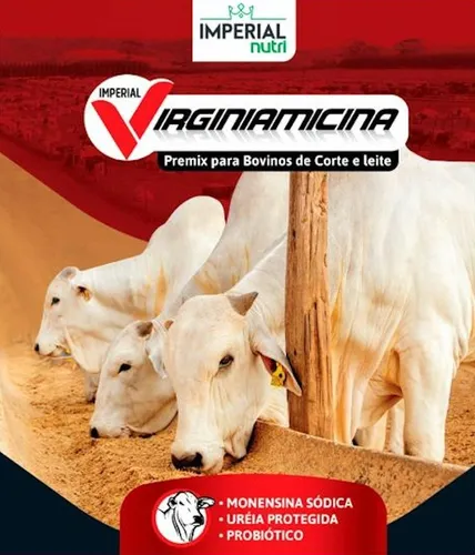 Virginiamicina + Monensina + Uréia Protegida= Engorda 10 Kg